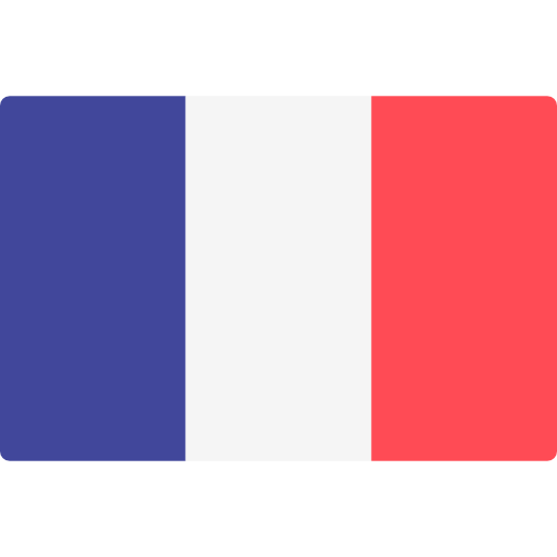 current language flag